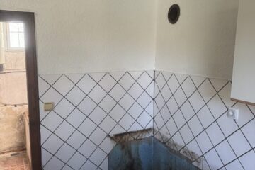 IMG 6768